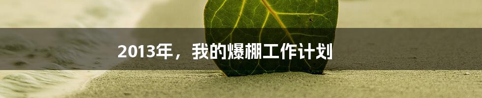 2013年，我的爆棚工作计划