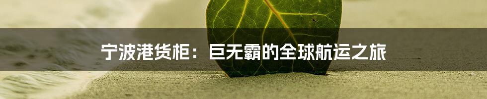 宁波港货柜:巨无霸的全球航运之旅