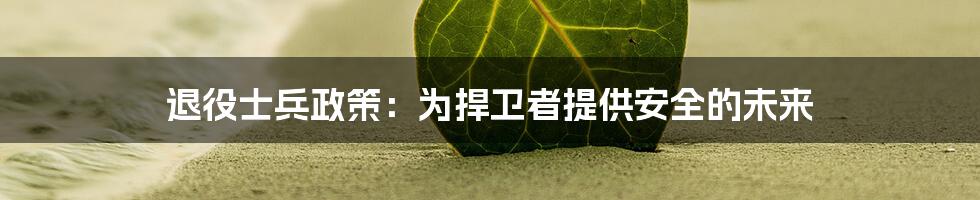 退役士兵政策:为捍卫者提供安全的未来