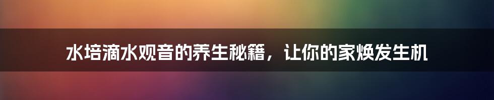 水培滴水观音的养生秘籍,让你的家焕发生机