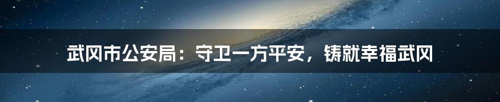 武冈市公安局：守卫一方平安，铸就幸福武冈