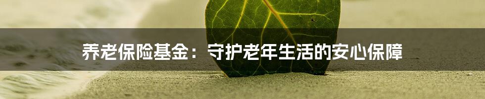 养老保险基金:守护老年生活的安心保障