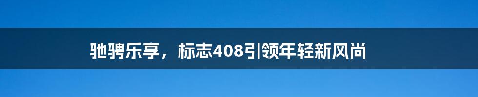 驰骋乐享,标志408引领年轻新风尚