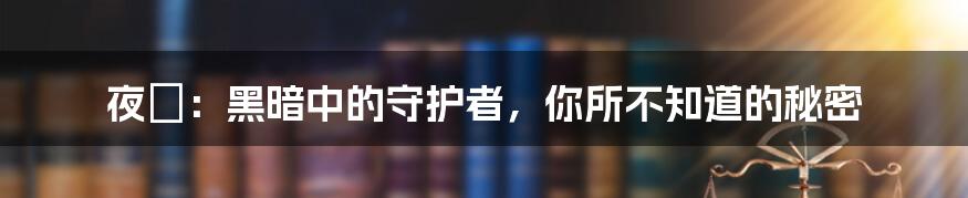夜凖：黑暗中的守护者，你所不知道的秘密