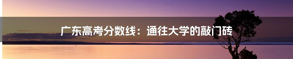 广东高考分数线：通往大学的敲门砖