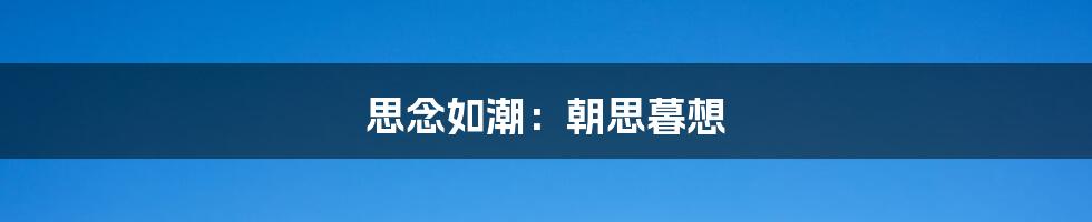 思念如潮:朝思暮想