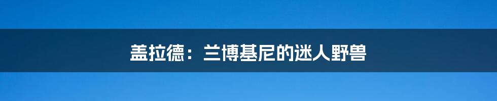 盖拉德:兰博基尼的迷人野兽