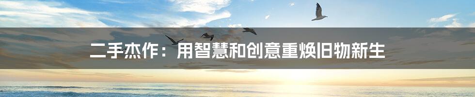 二手杰作：用智慧和创意重焕旧物新生
