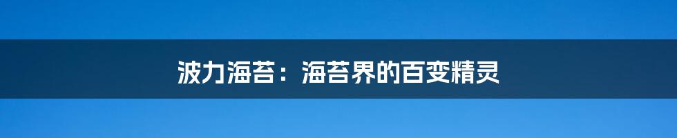 波力海苔：海苔界的百变精灵