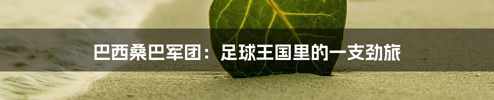 巴西桑巴军团:足球王国里的一支劲旅