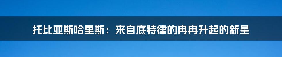 托比亚斯哈里斯:来自底特律的冉冉升起的新星
