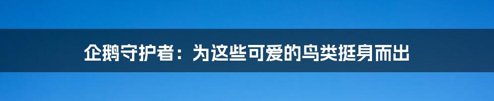 企鹅守护者：为这些可爱的鸟类挺身而出