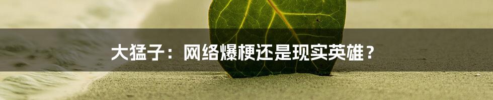 大猛子:网络爆梗还是现实英雄?