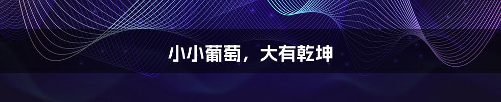 小小葡萄，大有乾坤
