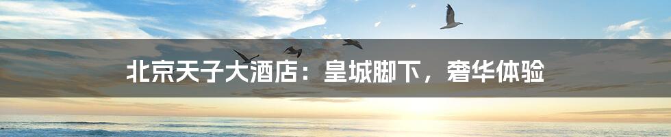 北京天子大酒店:皇城脚下,奢华体验