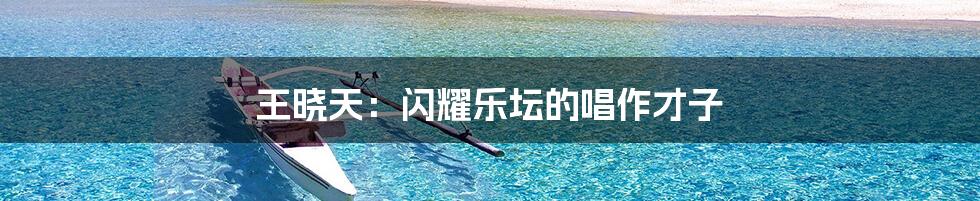 王晓天:闪耀乐坛的唱作才子
