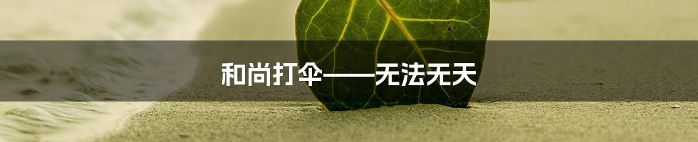 和尚打伞——无法无天