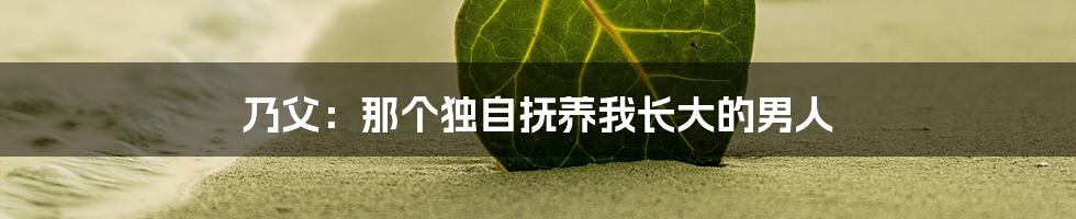 乃父：那个独自抚养我长大的男人