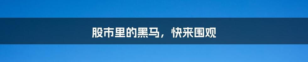 股市里的黑马,快来围观