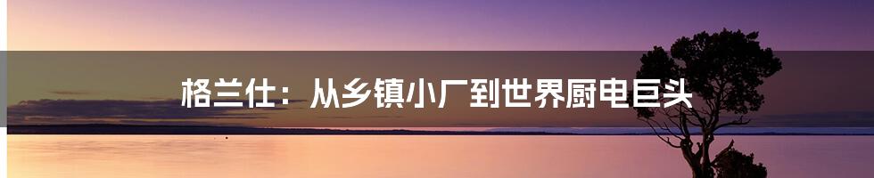 格兰仕：从乡镇小厂到世界厨电巨头