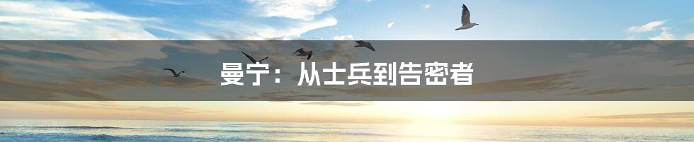 曼宁：从士兵到告密者