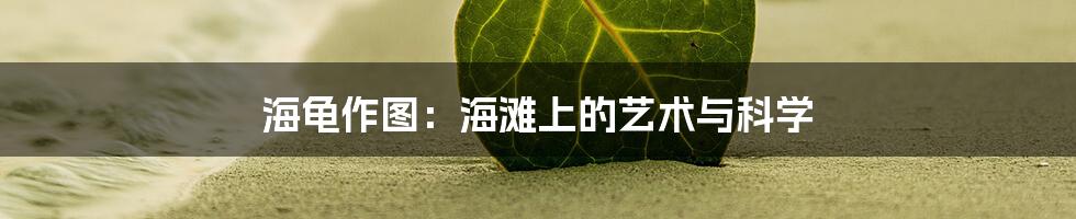 海龟作图:海滩上的艺术与科学