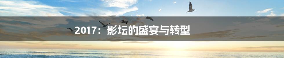 2017：影坛的盛宴与转型