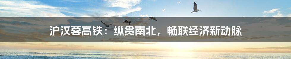 沪汉蓉高铁:纵贯南北,畅联经济新动脉