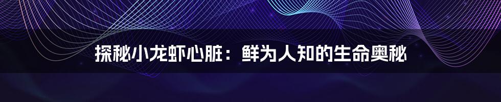 探秘小龙虾心脏：鲜为人知的生命奥秘