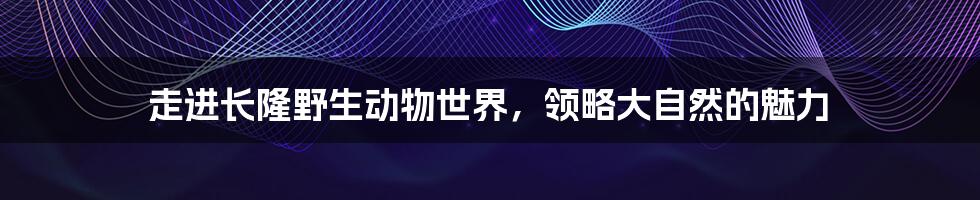 走进长隆野生动物世界,领略大自然的魅力