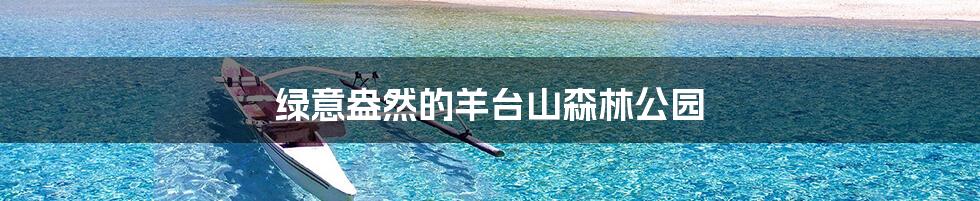 绿意盎然的羊台山森林公园