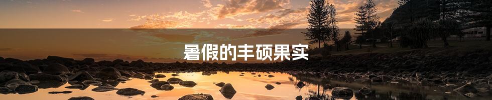 暑假的丰硕果实