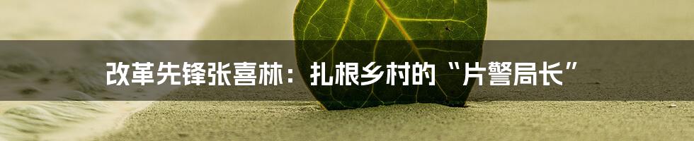 改革先锋张喜林:扎根乡村的“片警局长”