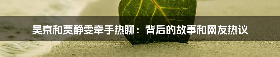 吴京和贾静雯牵手热聊：背后的故事和网友热议
