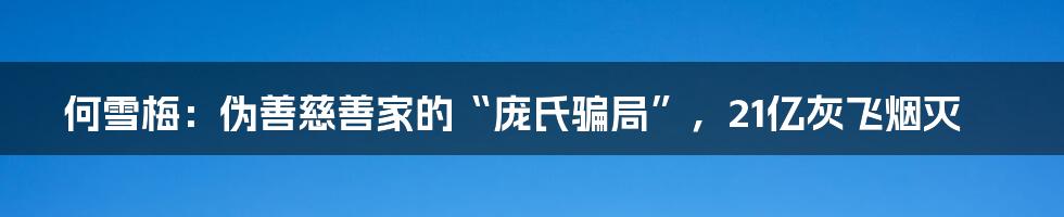 何雪梅：伪善慈善家的“庞氏骗局”，21亿灰飞烟灭