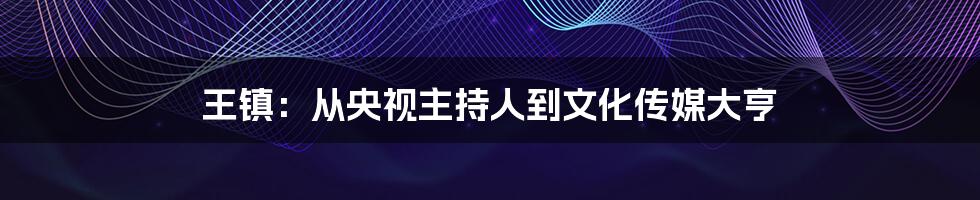 王镇:从央视主持人到文化传媒大亨