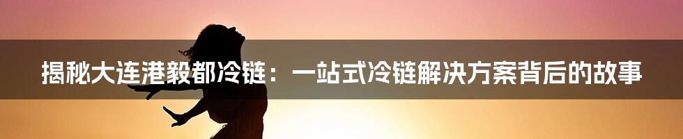 揭秘大连港毅都冷链:一站式冷链解决方案背后的故事
