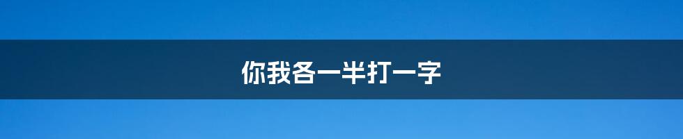 你我各一半打一字