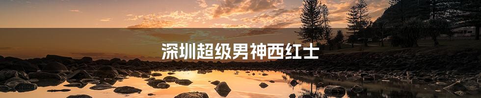 深圳超级男神西红士