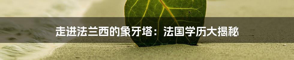 走进法兰西的象牙塔:法国学历大揭秘