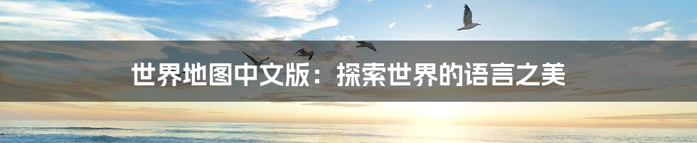 世界地图中文版:探索世界的语言之美