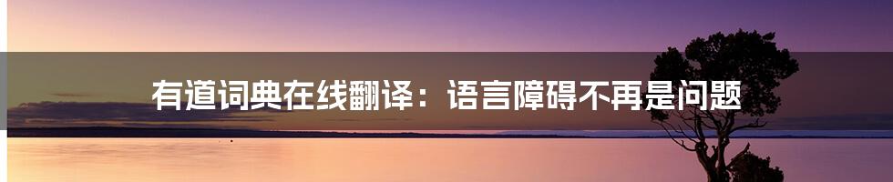 有道词典在线翻译:语言障碍不再是问题