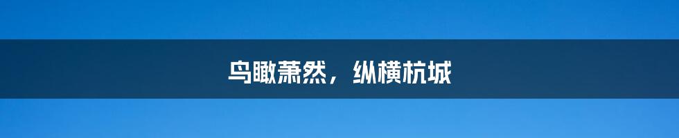 鸟瞰萧然，纵横杭城