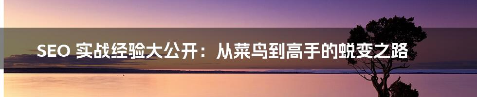 SEO 实战经验大公开：从菜鸟到高手的蜕变之路