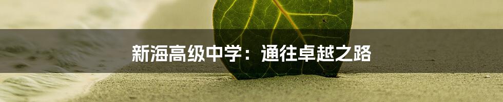 新海高级中学：通往卓越之路