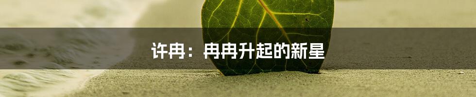 许冉:冉冉升起的新星