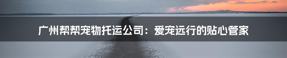 广州帮帮宠物托运公司:爱宠远行的贴心管家