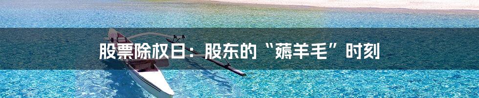 股票除权日:股东的“薅羊毛”时刻