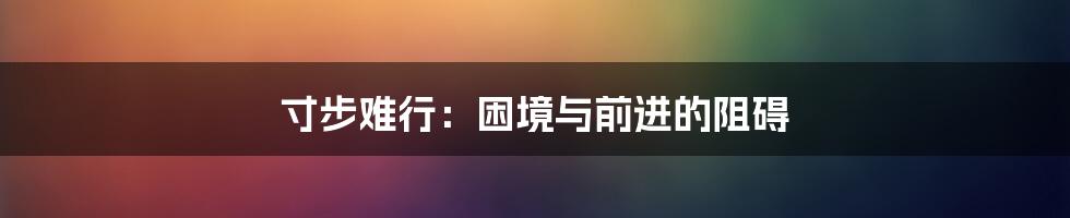寸步难行:困境与前进的阻碍