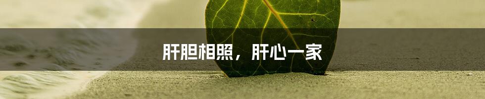 肝胆相照,肝心一家